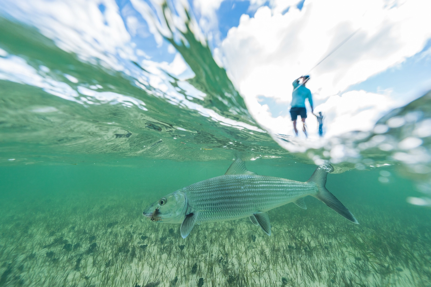 Fiskeutstyr Salgsbutikk -Fiskeutstyr Salgsbutikk 328854143 897360718244362 3488726779706875780 n