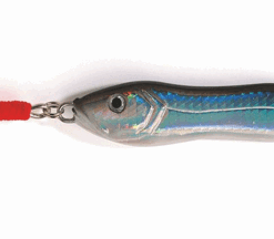 Abu Garcia Sillen H-S/BLACK