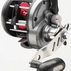 Daiwa Sealine 30LWLA