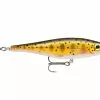 Rappala Rapala BX Minnow Trout 2 Rappala Rapala BX Minnow Trout -Fiskeutstyr Salgsbutikk rapala bx minnow tr jpg