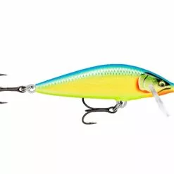 Rappala Rapala Countdown Elite Gilded Parrot