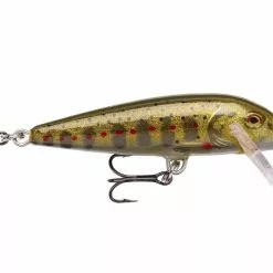 Rappala Rapala Countdown Sinking Gold Juvenile Trout