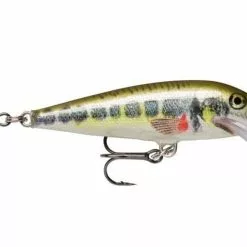 Rappala Rapala Scatter Rap Countdown Live Varion